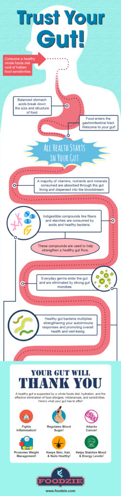 Chart showing how your gut functions