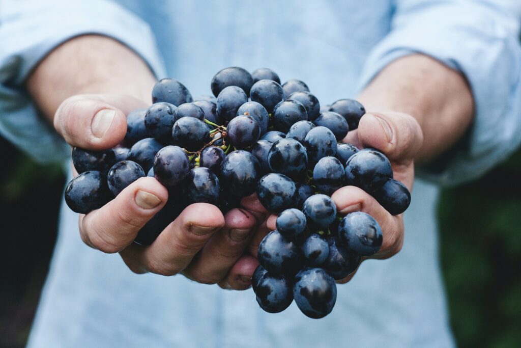 Eat grapes for the benefits of resveratrol.