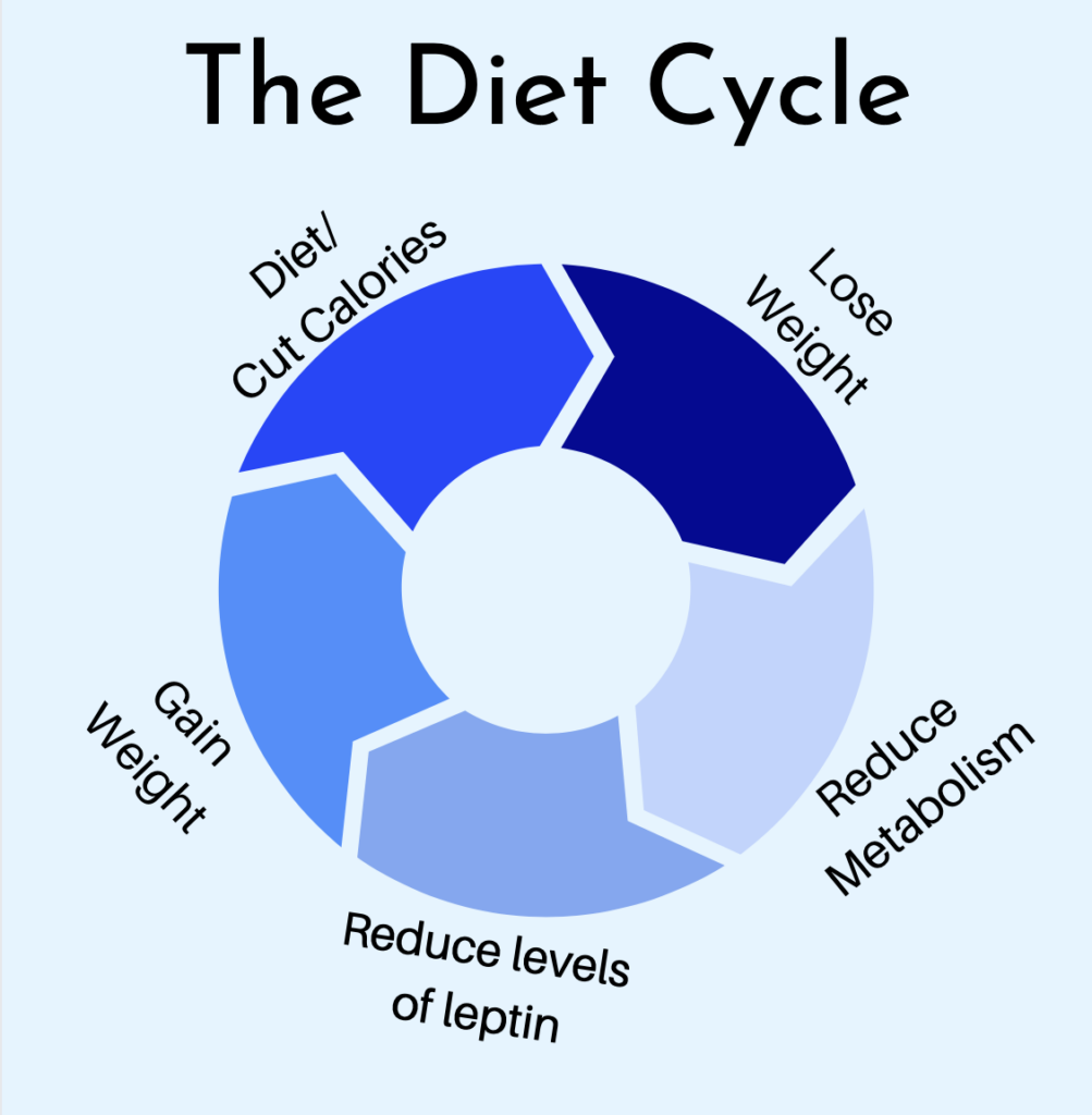 The diet cycle