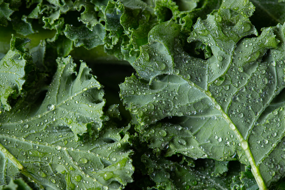 Kale is one of the best vegetables to eat raw
